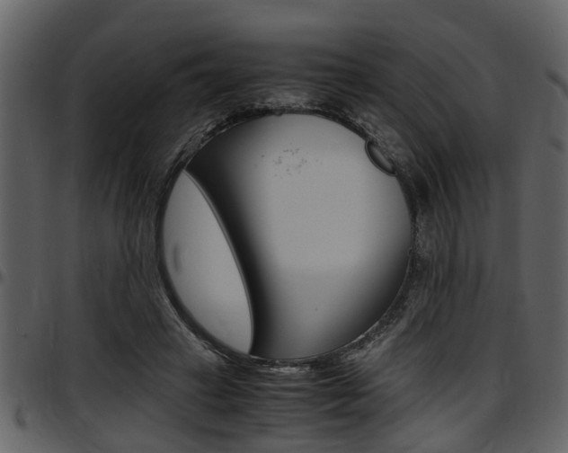 X0000097640449200802290826