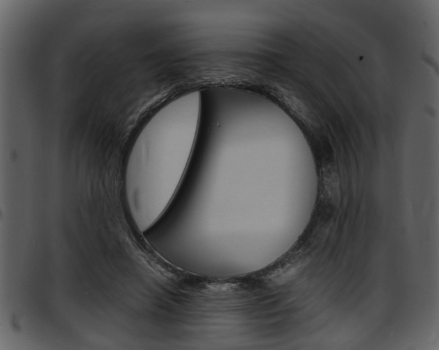 X0000097640450200802290826