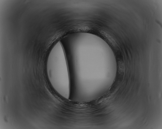 X0000097640451200802290826