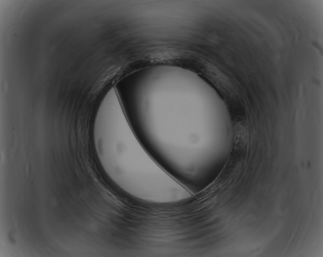 X0000097640452200802290826