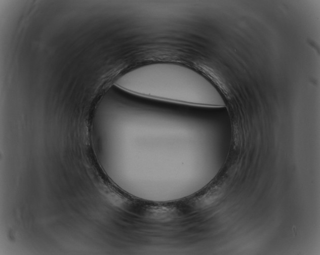 X0000097640453200802290826