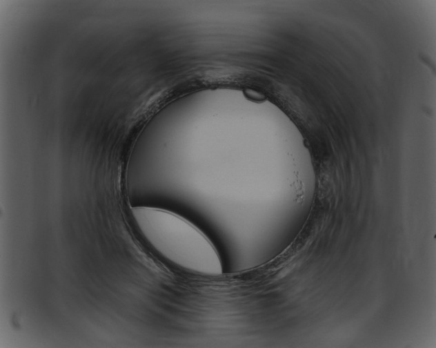 X0000097640454200802290826