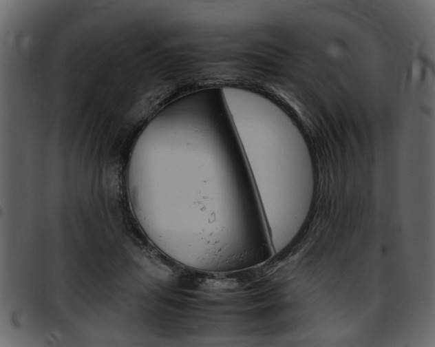 X0000097640455200802290826