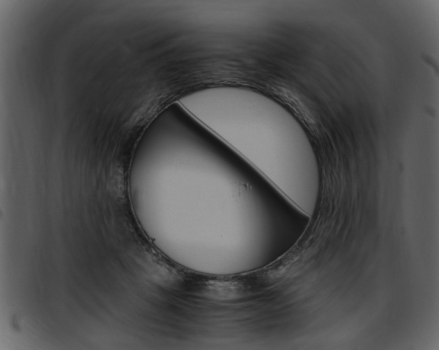 X0000097640457200802290826