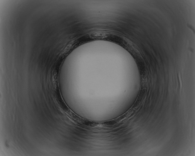 X0000097640460200802290826