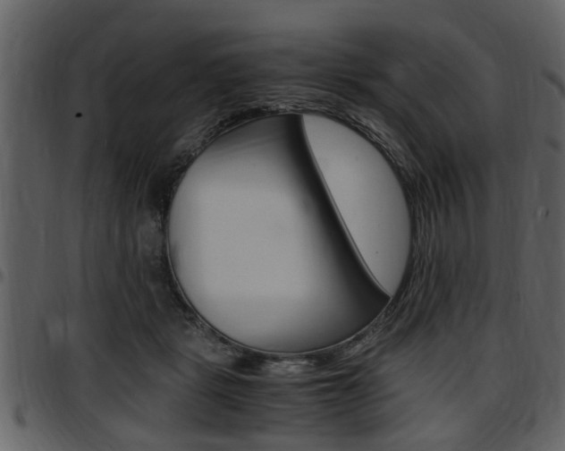 X0000097640461200802290826