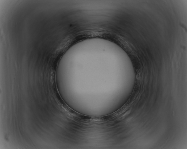 X0000097640462200802290826