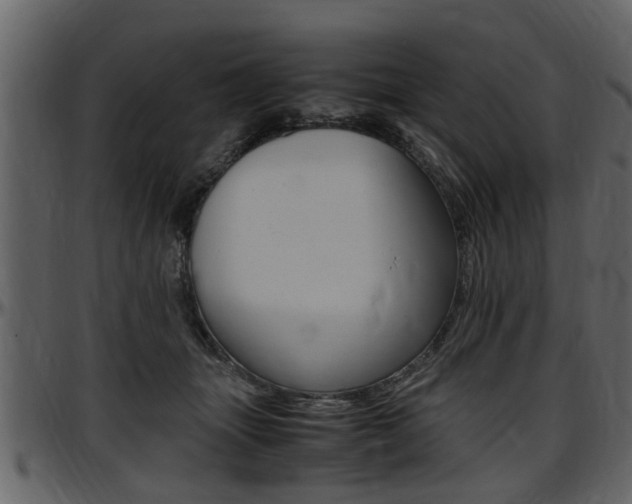 X0000097640463200802290826