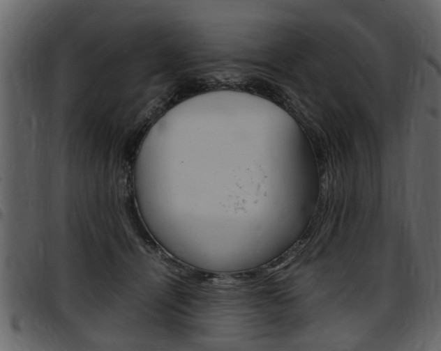 X0000097640464200802290826