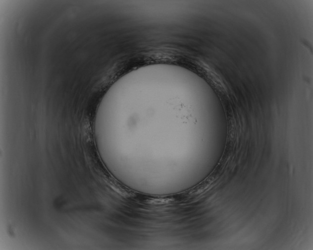 X0000097640465200802290826