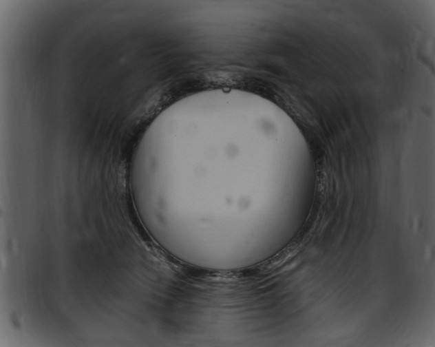 X0000097640466200802290827