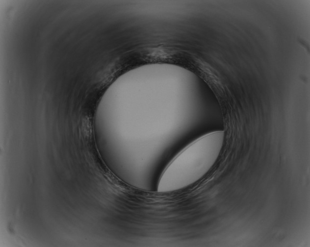 X0000097640467200802290827