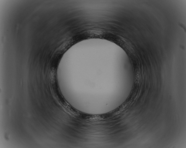 X0000097640468200802290827