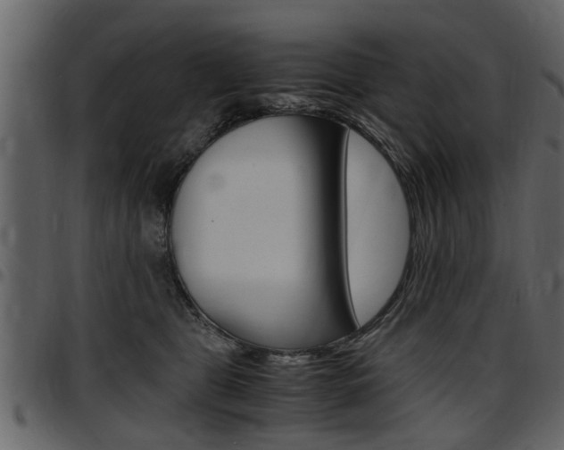X0000097640469200802290827