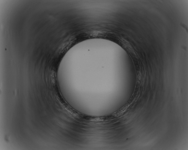 X0000097640470200802290827