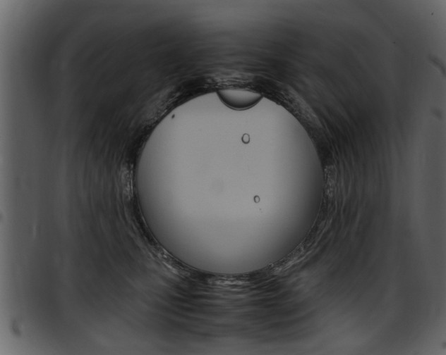 X0000097640471200802290827