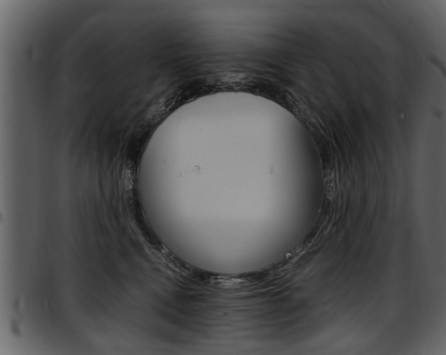 X0000097640472200802290827