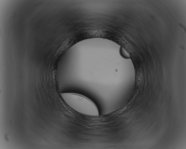 X0000097640473200802290827