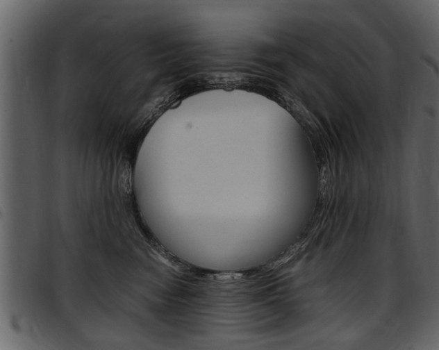 X0000097640474200802290827