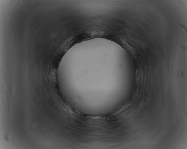 X0000097640475200802290827