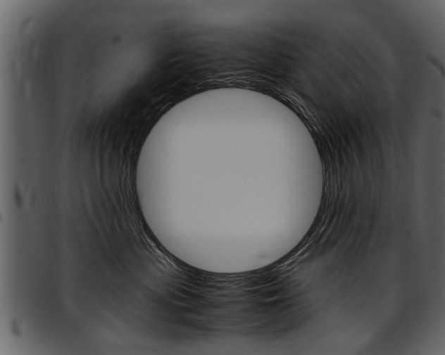 X0000097640477200802290827
