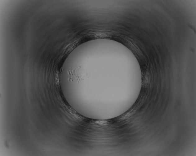 X0000097640478200802290827