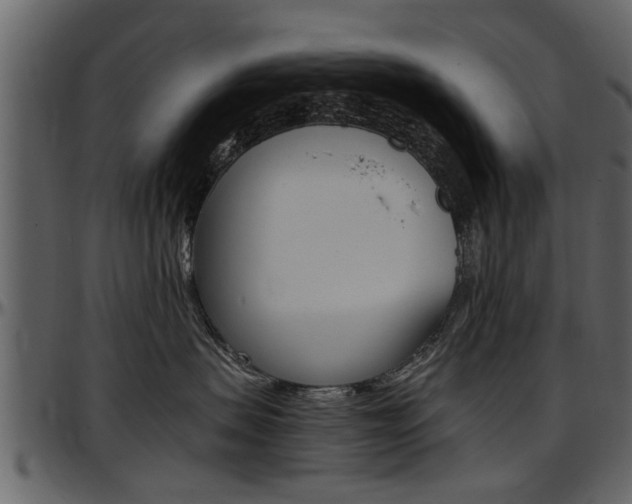 X0000097640479200802290827
