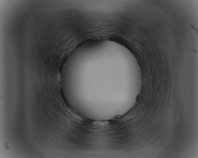 X0000097640480200802290827