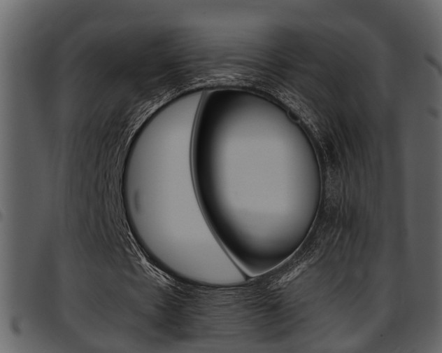 X0000097640481200802290826