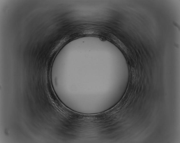 X0000097640482200802290826