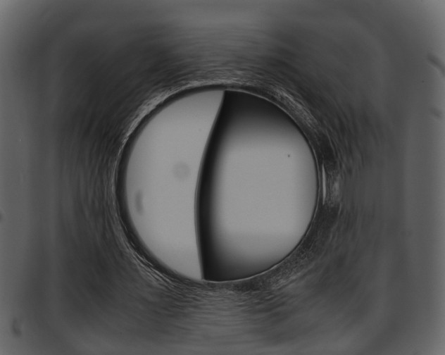 X0000097640483200802290826
