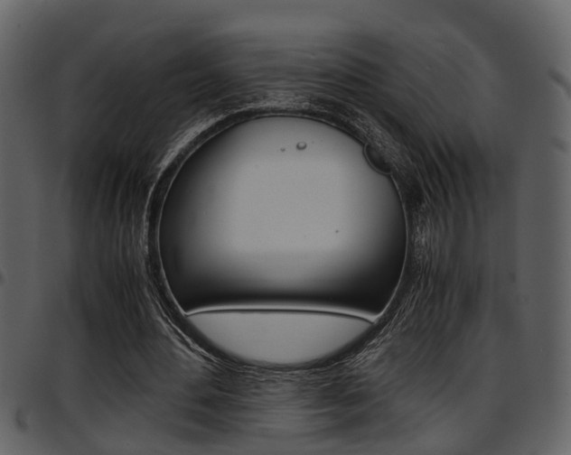 X0000097640484200802290826