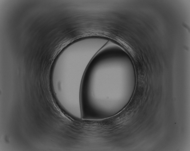 X0000097640485200802290826