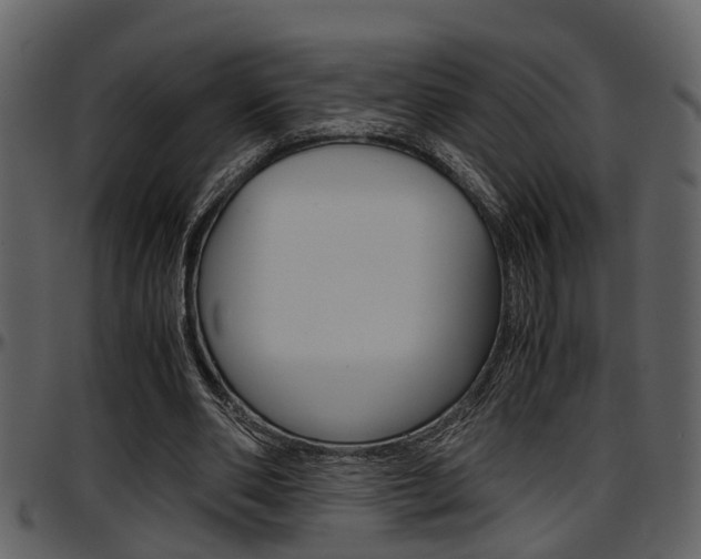 X0000097640486200802290826