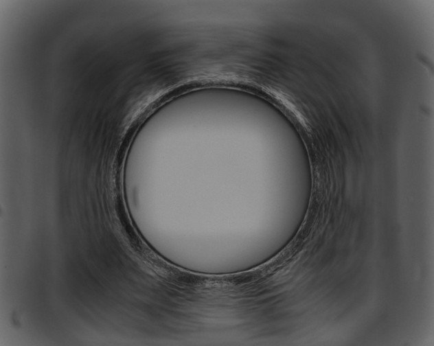 X0000097640487200802290826