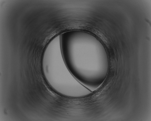 X0000097640489200802290826