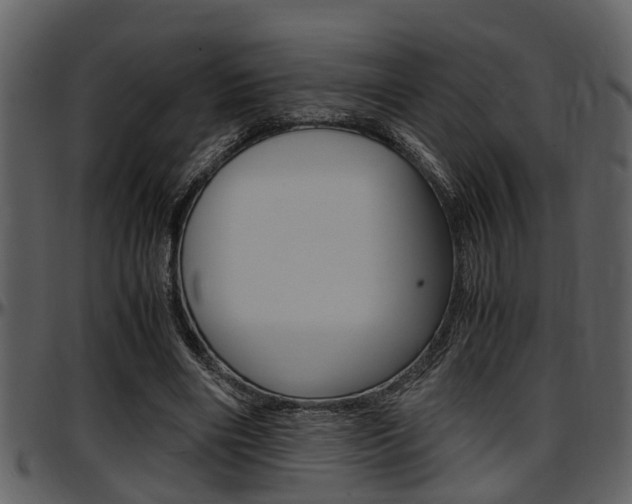 X0000097640490200802290826