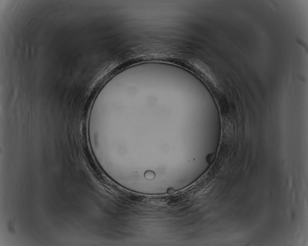 X0000097640491200802290826