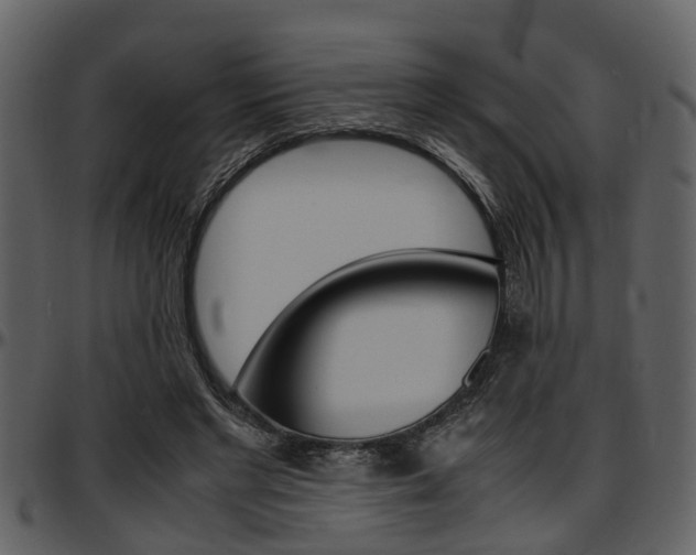 X0000097640493200802290826