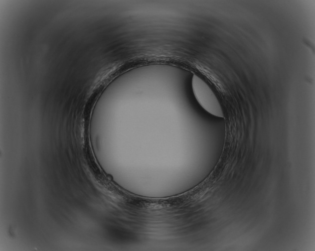X0000097640494200802290826