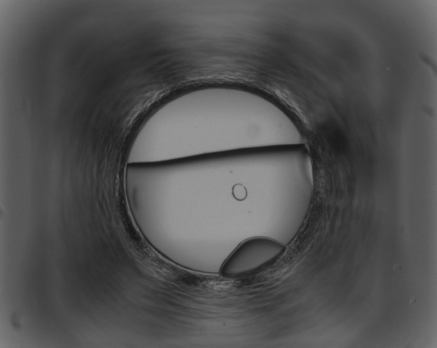 X0000097640495200802290826