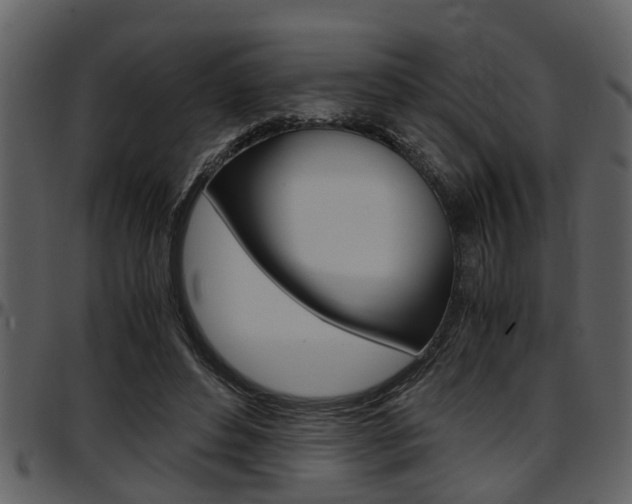 X0000097640496200802290825