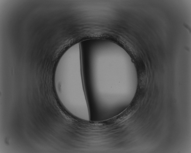 X0000097640497200802290825