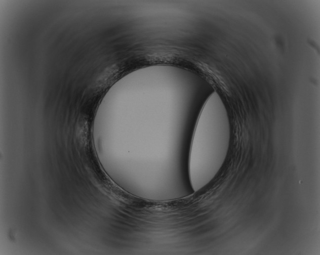 X0000097640498200802290825