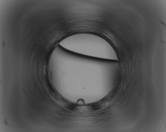 X0000097640499200802290825