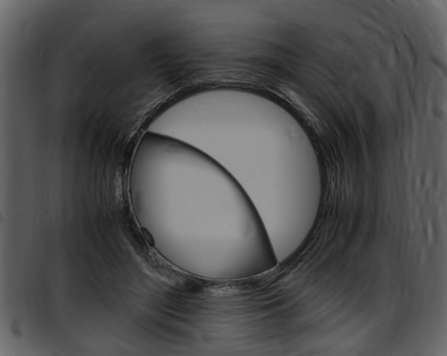 X0000097640500200802290825