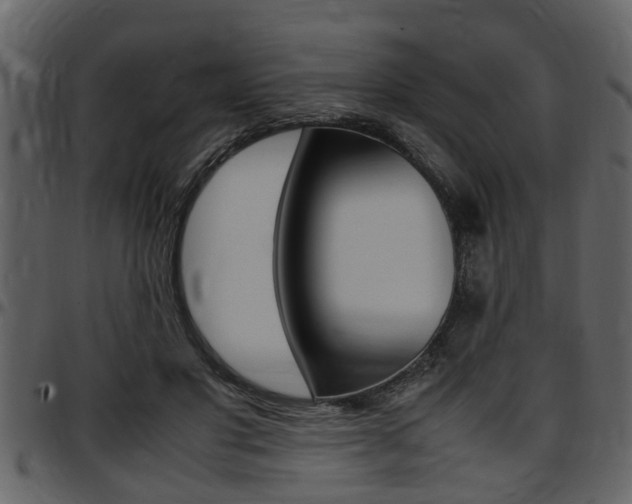 X0000097640501200802290825