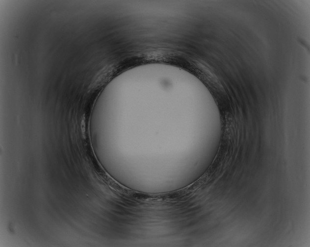 X0000097640502200802290825