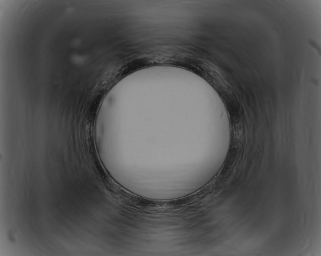 X0000097640503200802290825