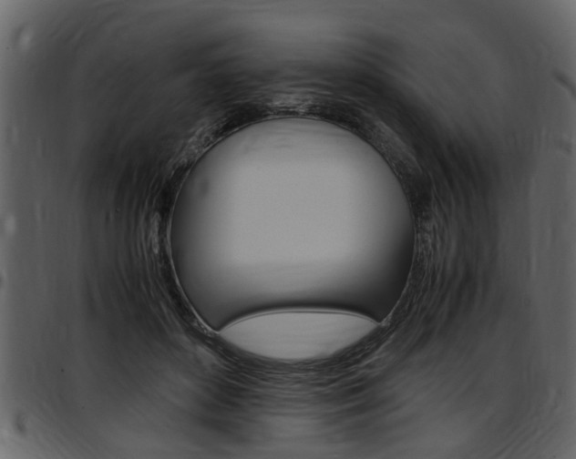 X0000097640504200802290825